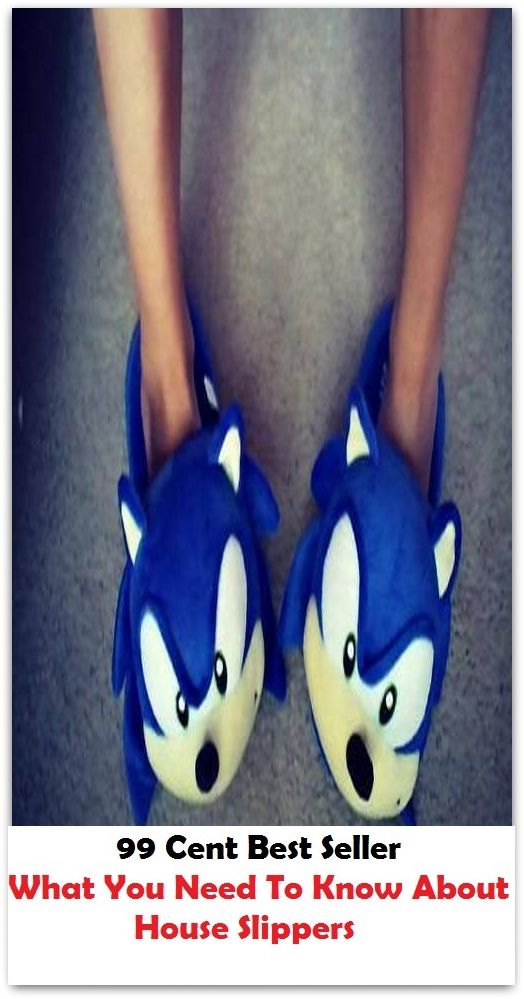 99 Cent Best Seller What You Need To Know About House Slippers ( Train, teach, coach, educate, instruct, guide, prepare, tutor, school, inform )