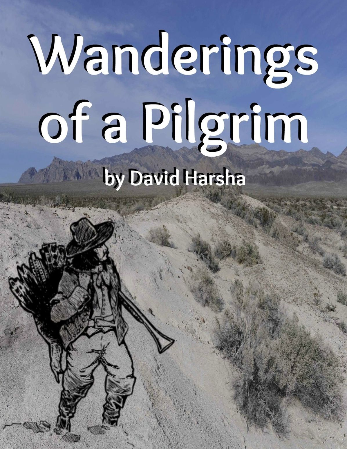 Wanderings of a Pilgrim