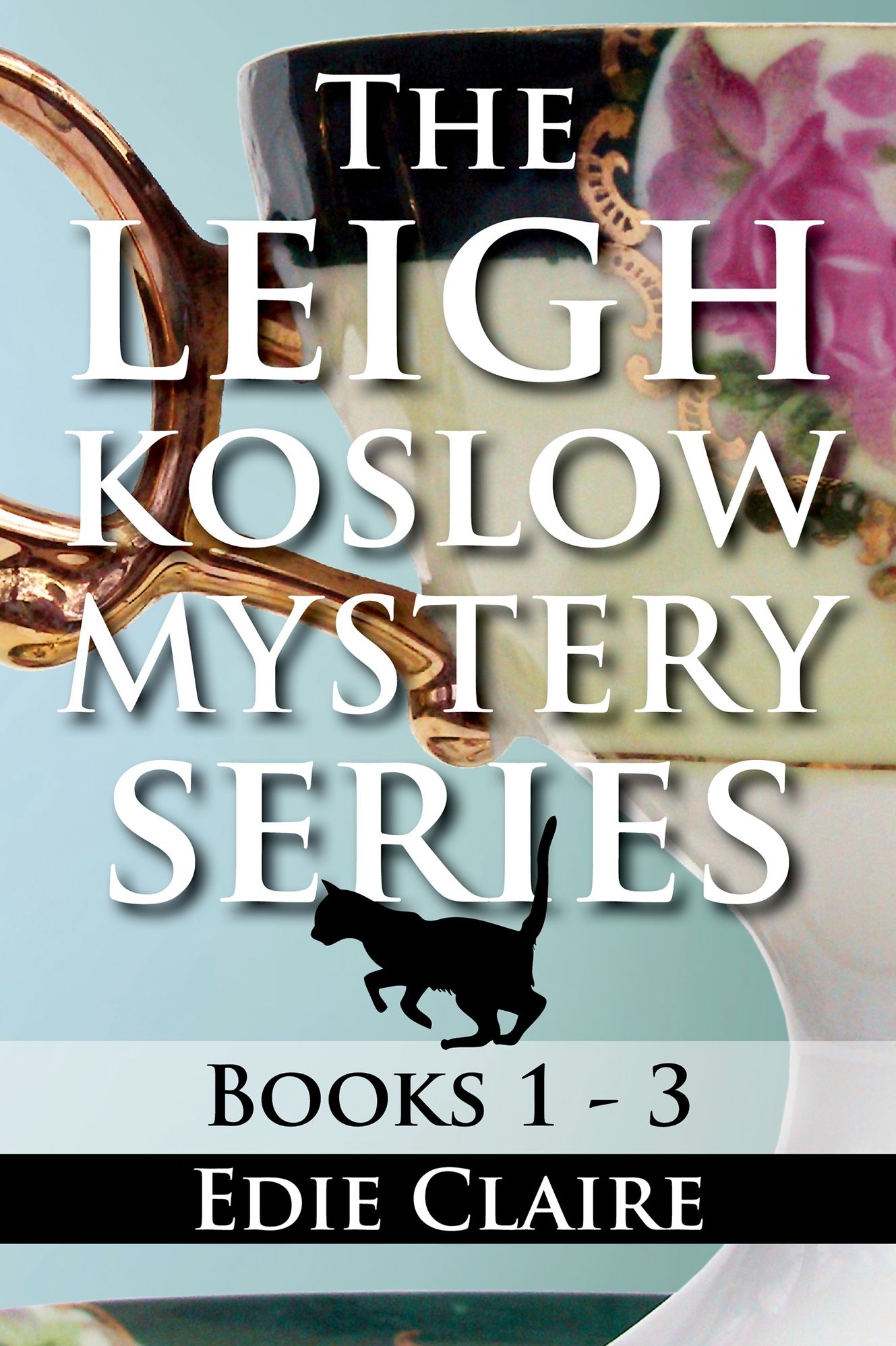 The Leigh Koslow Mystery Series: Books 1-3 (Never Buried Never Sorry Never Preach Past Noon)