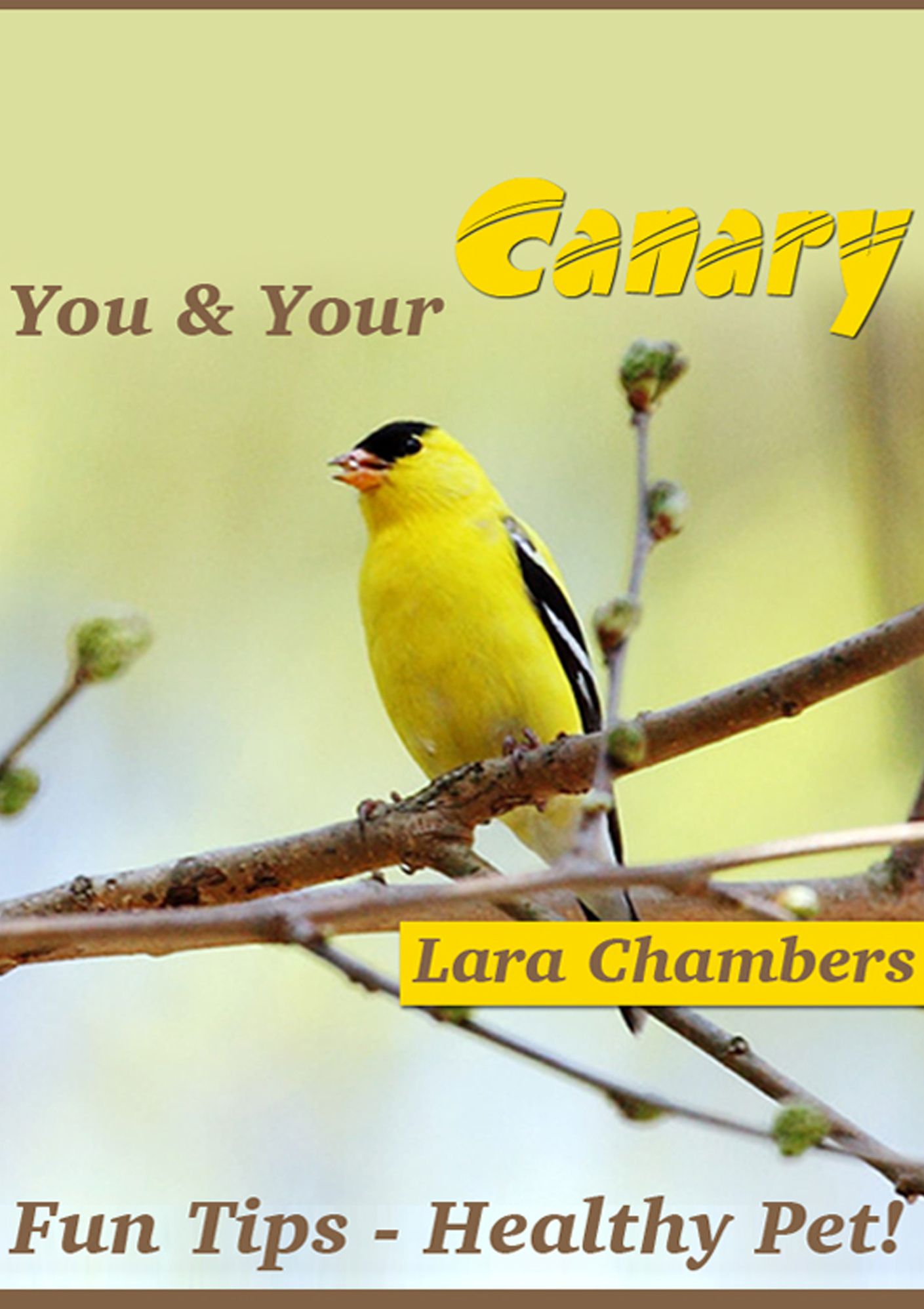 You and Your Canary