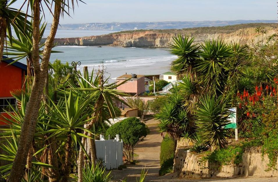 My Gold Coast---Baja, A Practical Guide 2nd edition