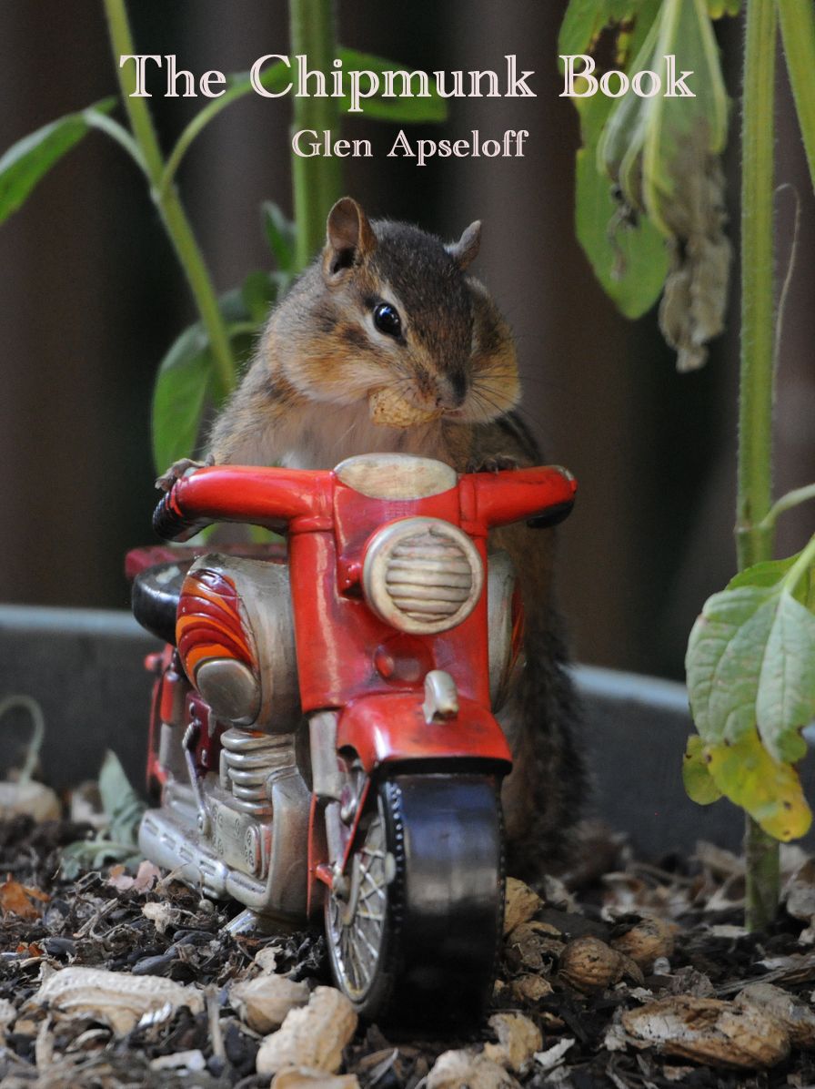 The Chipmunk Book
