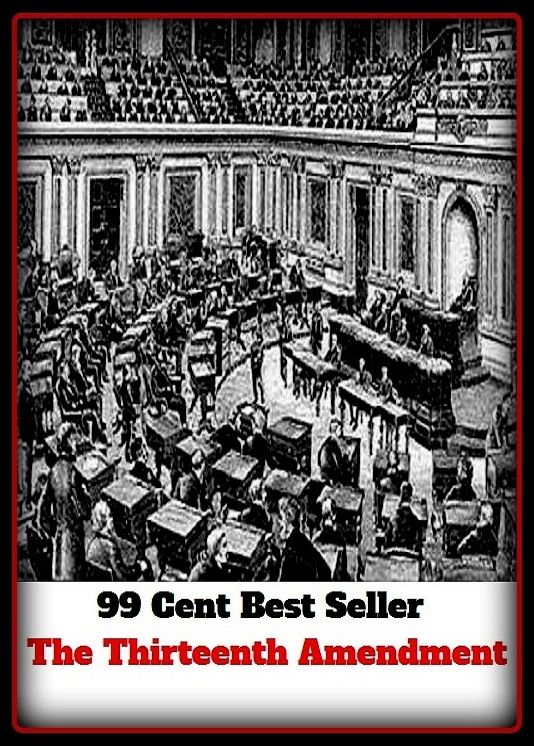 99 Cent Best Seller The Thirteenth Amendment (Art, Theology, Chicken Soup, Thought, Theory, Self Help, Mystery, romance, action, adventure, sci fi, science fiction, drama, horror, thriller, classic, novel, literature, suspense)