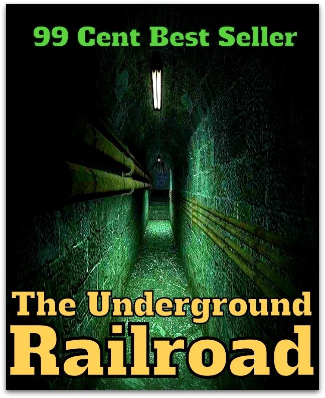 99 Cent Best Seller The Underground Railroad (Art, Theology, Ethics, Chicken Soup, Thought, Theory, Self Help, Mystery, romance, action, adventure, sci fi, science fiction, drama, horror, thriller, classic, novel, literature, suspense)