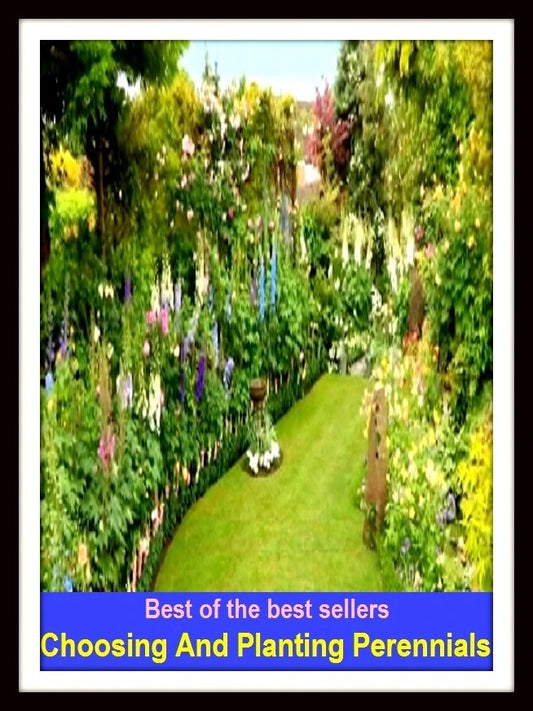 Gardening: (Plantation, woodlet, grove, garden, plantation, grove, vineyard, fruit garden, coppice, thicket)