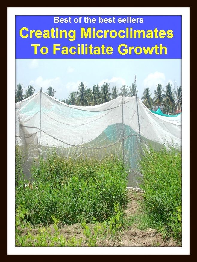 Best of The Best Sellers Creating Microclimates To Facilitate Growth (Organize, construct, coordinate, establish, form, formulate, regulate, run, set up, adapt)