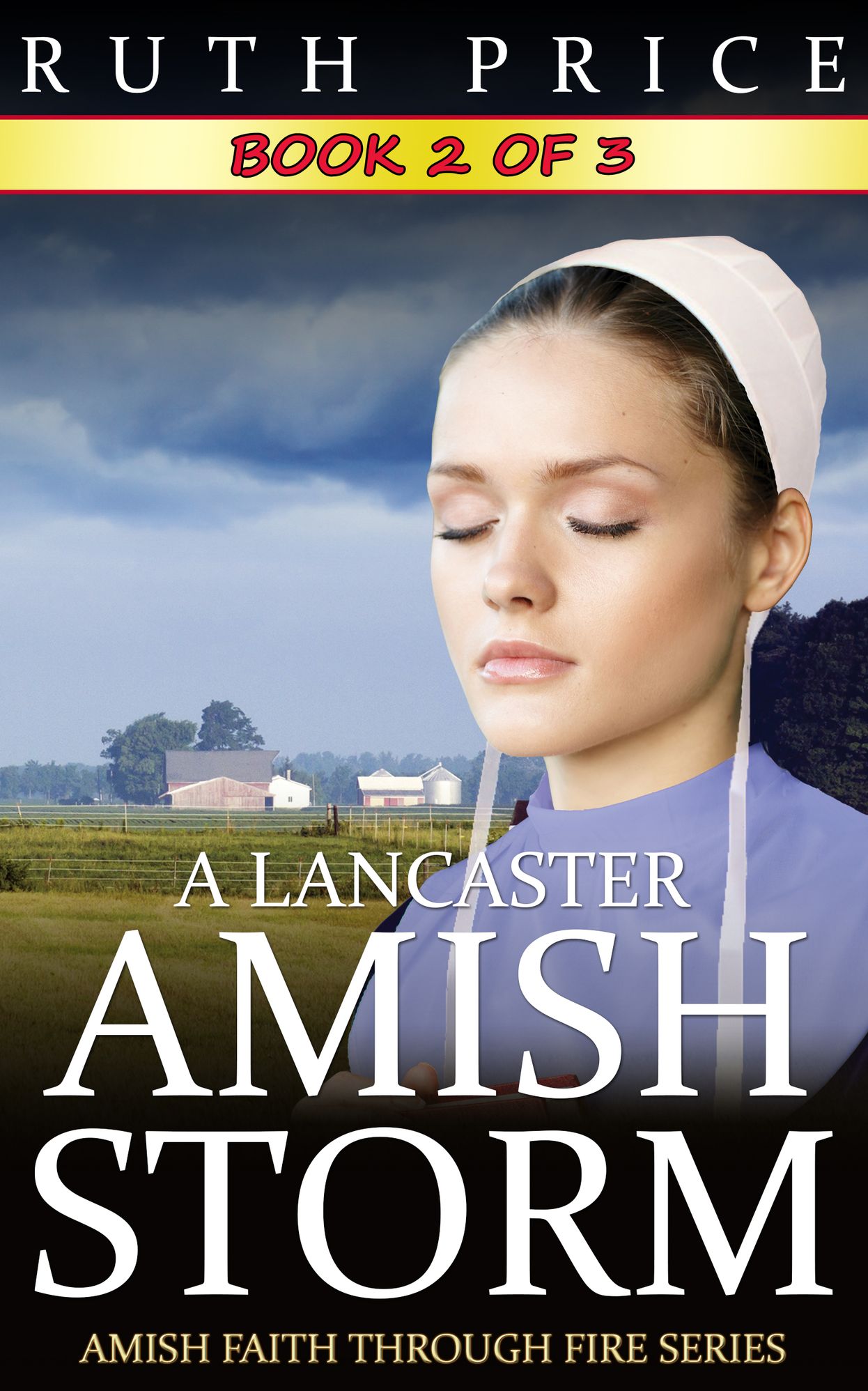 A Lancaster Amish Storm - Book 2