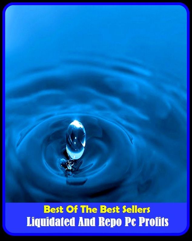 99 Cent Best Seller Liquidated And Repo Pc Profits ( essay, paper, thesis, dissertation, composition, article, treatise, theory, idea, hypothesis )