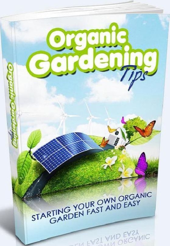 Live Healthy eBook on Organic Gardening Tips - Easy Proven Tips, Tools and Tactics ToStarrt Your Own Organic Garden!