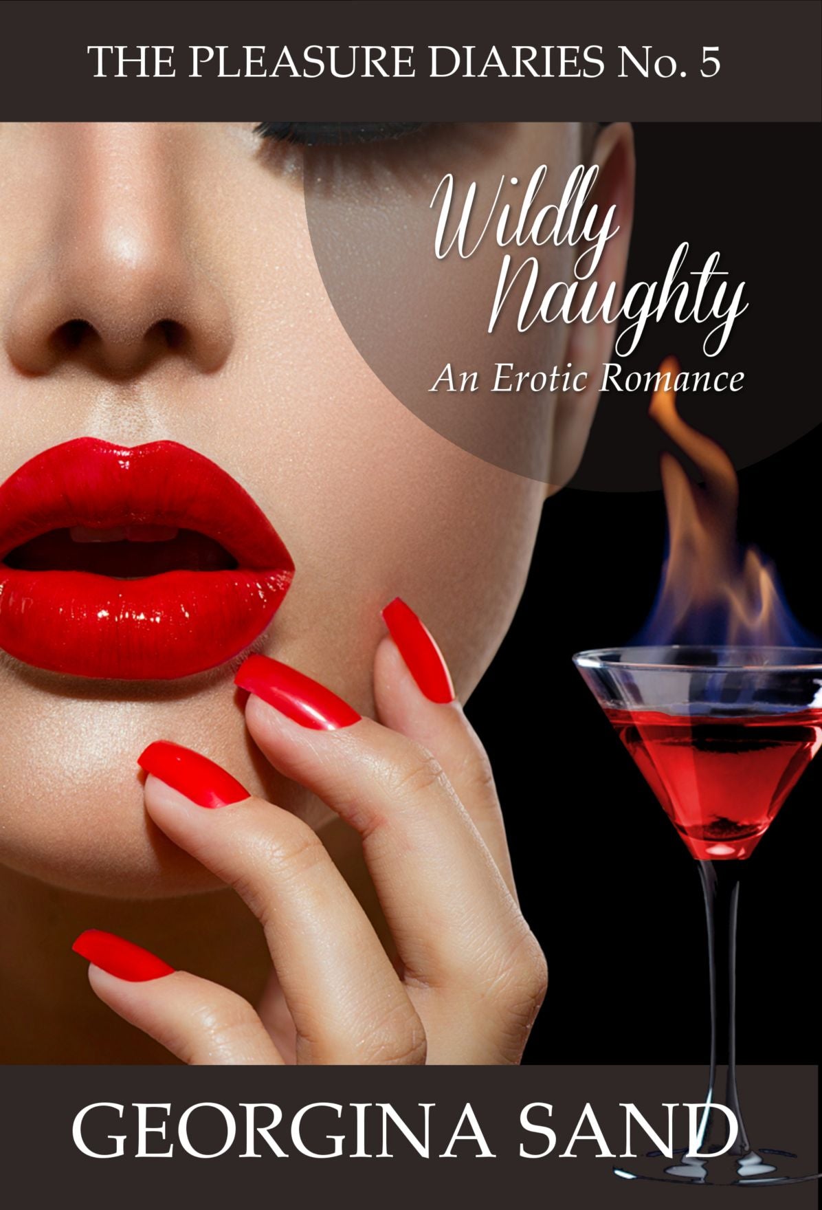 The Pleasure Diaries: Wildly Naughty (An Erotic Romance)