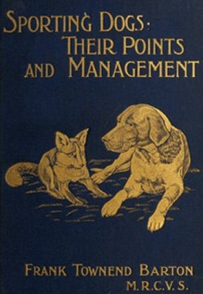 Sporting Dogs (Illustrated)