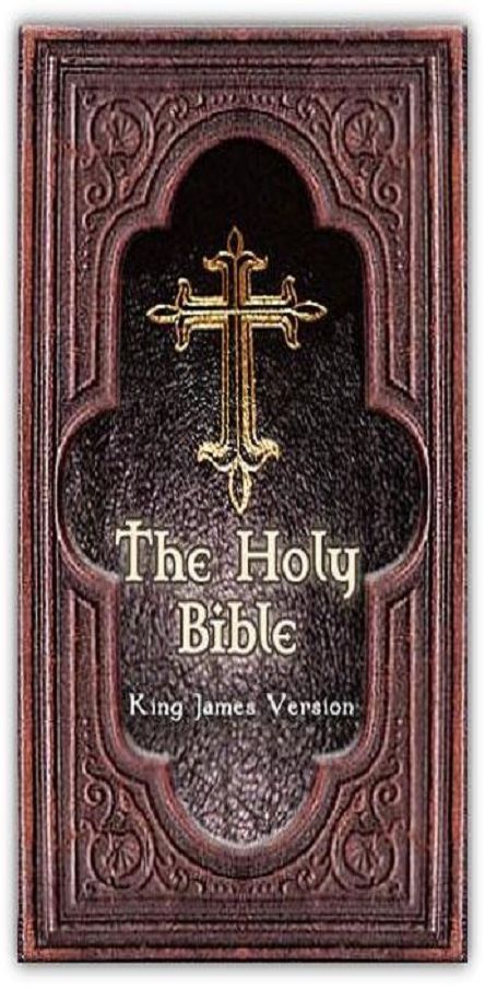 Best Sellers Holy Bible (King James Version) ( religion, religious, bible, Lord, commandments, history,, historical, teachings, budda, theology, chicken soup, preacher, reverend, Jesus )