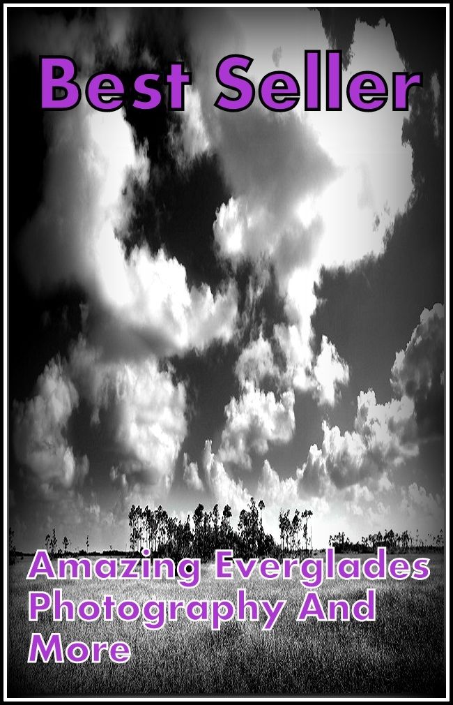 Nature: Best Sellers Amazing Everglades Photography and More (Amazing Photography, spiders, alligator, crocodile, sea creatures, sea world, underwater world, horse, wild, forest, beast, animals, elephant, photo, fish, wildlife, ocean, shark, octopus )