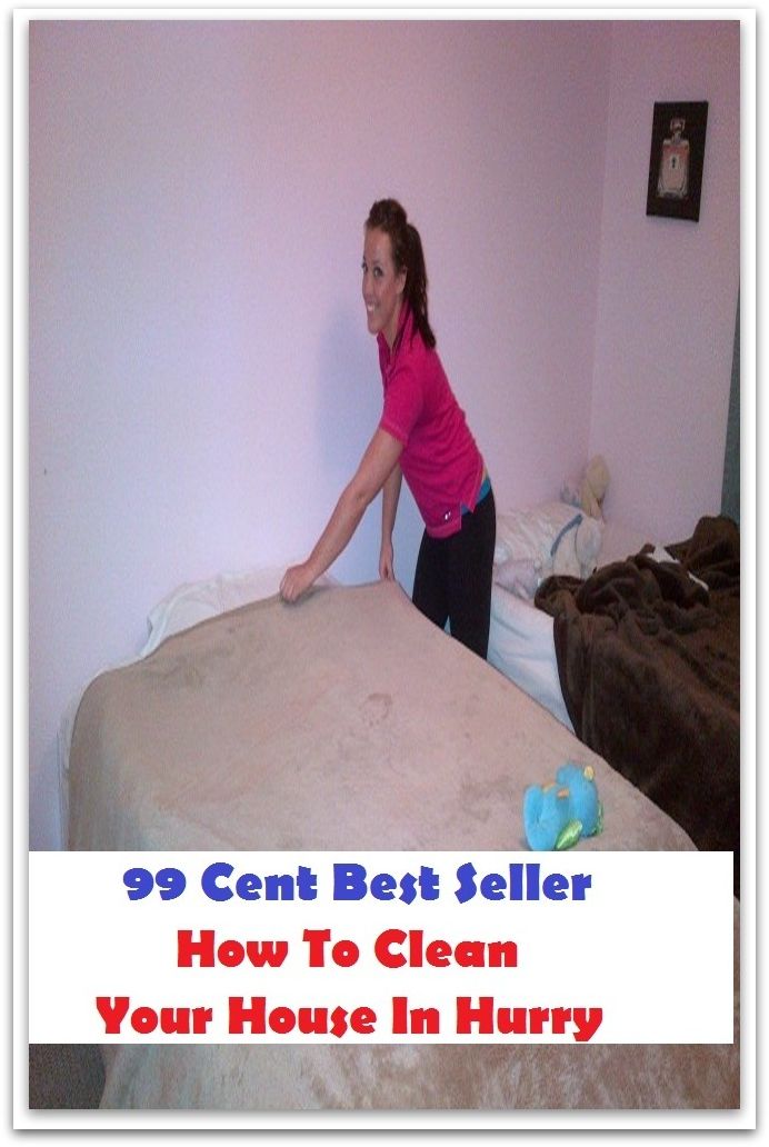 99 Cent Best Seller How To Clean Your House In Hurry ( way, method, means, technique, mode, system, approach, manner, line of attack, routine )