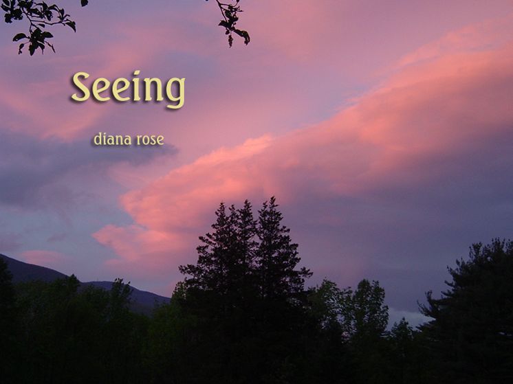 Seeing
