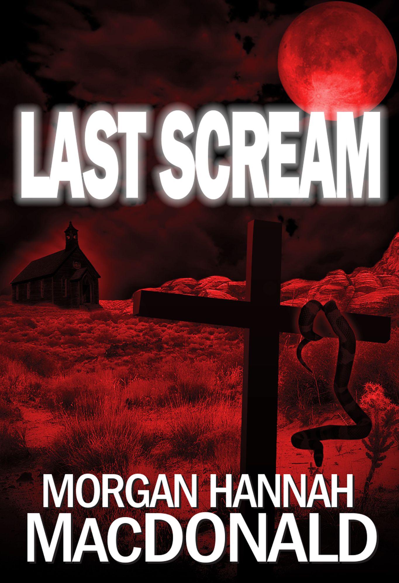 LAST SCREAM -The Thomas Family Series #3