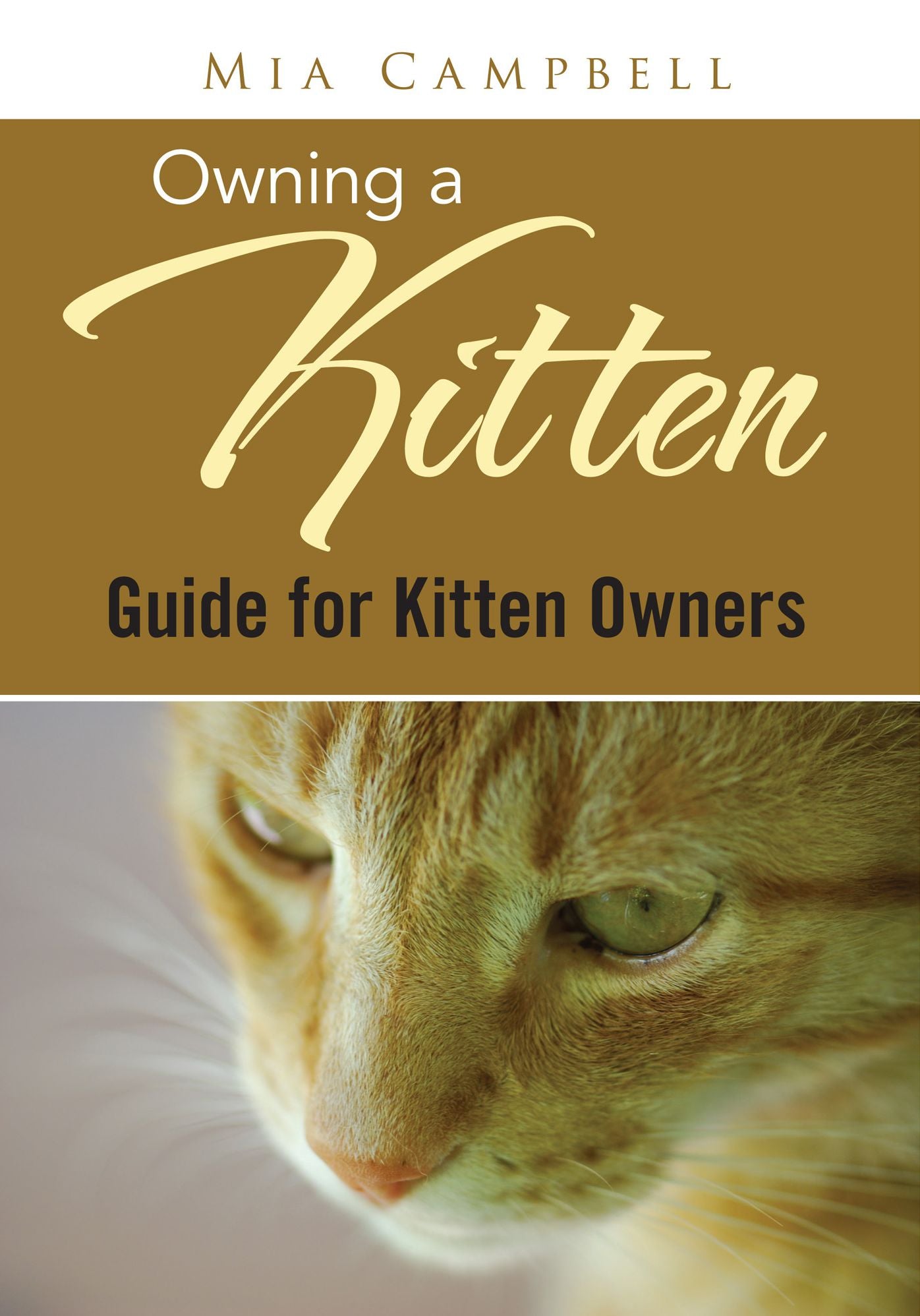 Owning A Kitten