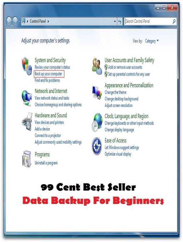 99 Cent best seller Data Backup For Beginners (dat., data, data access object, data acquisition, data analysis, data bank, data binding, data buffer, data bus, data cable)