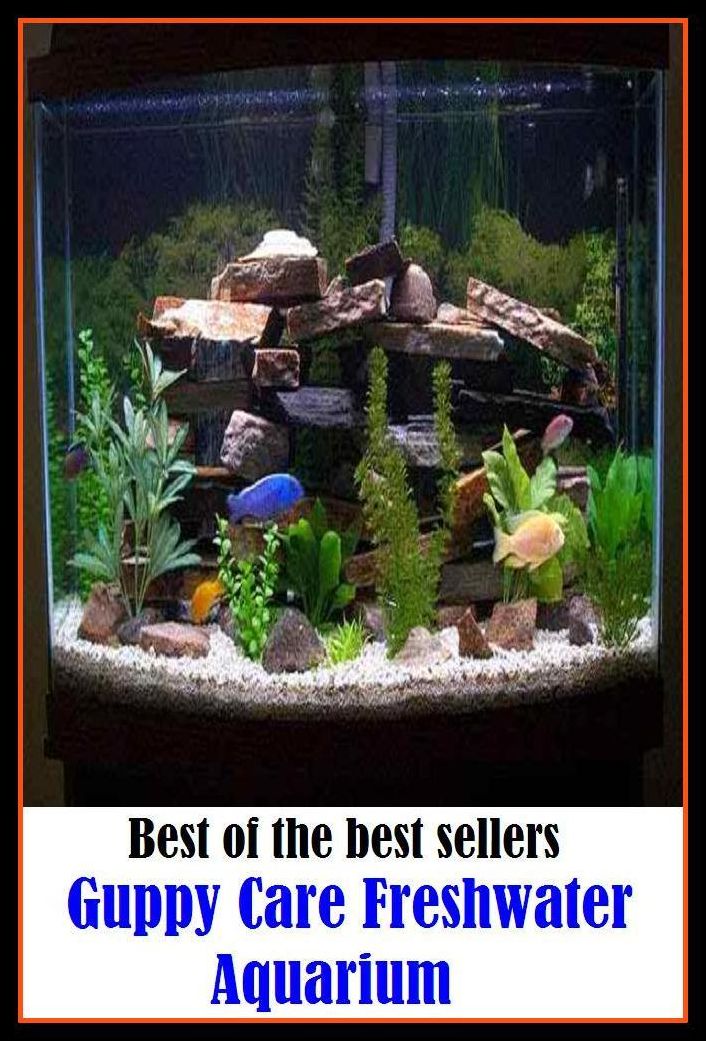 Best of the Best Sellers Guppy Care Freshwater Aquarium ( safekeeping, supervision, custody, charge, protection, control, responsibility, guardianship, wardship, help )