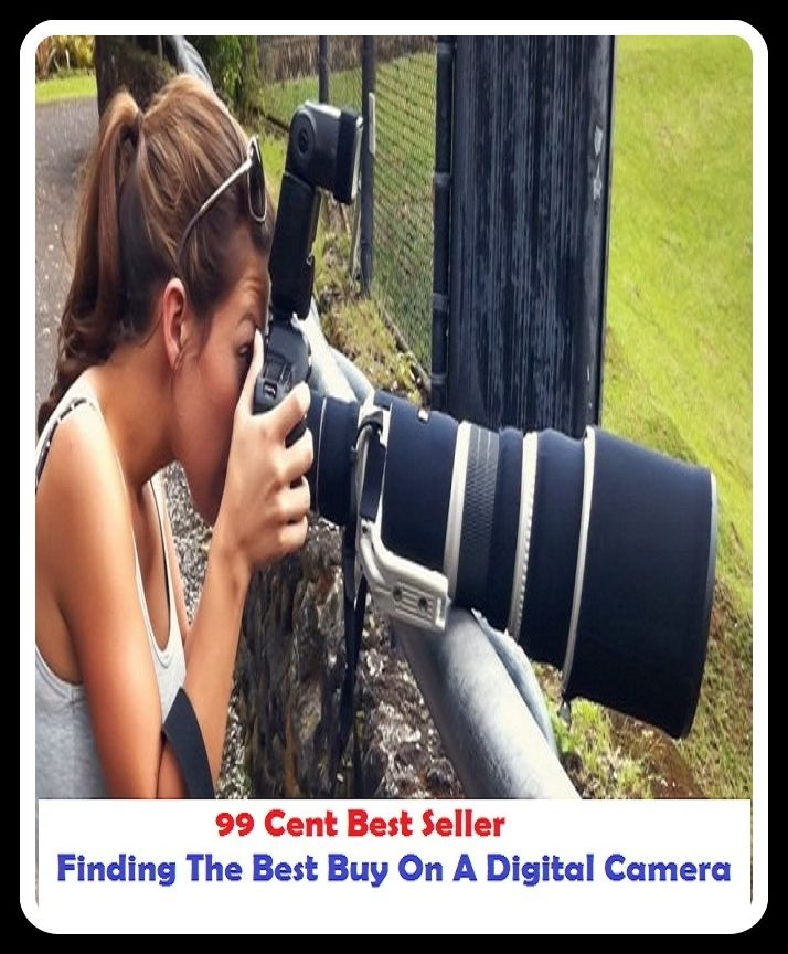 99 Cent best seller Finding The Best Buy On A Digital Camera (finderscope,findery,findfault,findfaulting,finding,finding nemo,finding of fact,finding of law,finding out,findings)