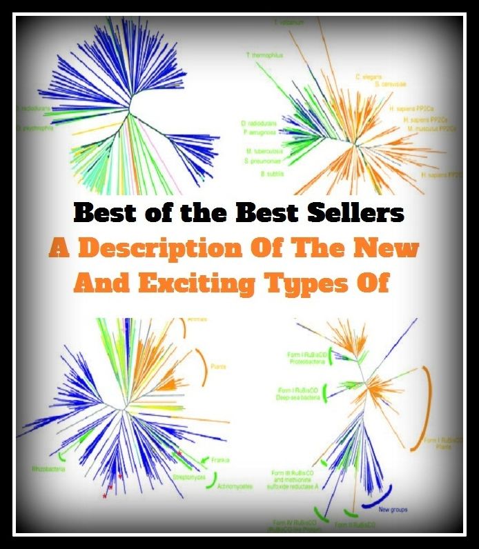 Best of the best seller A Description Of The New And Exciting Types Of(ball,bash,blast,celebration,cheer,clambake,delight,dissipation,distraction)