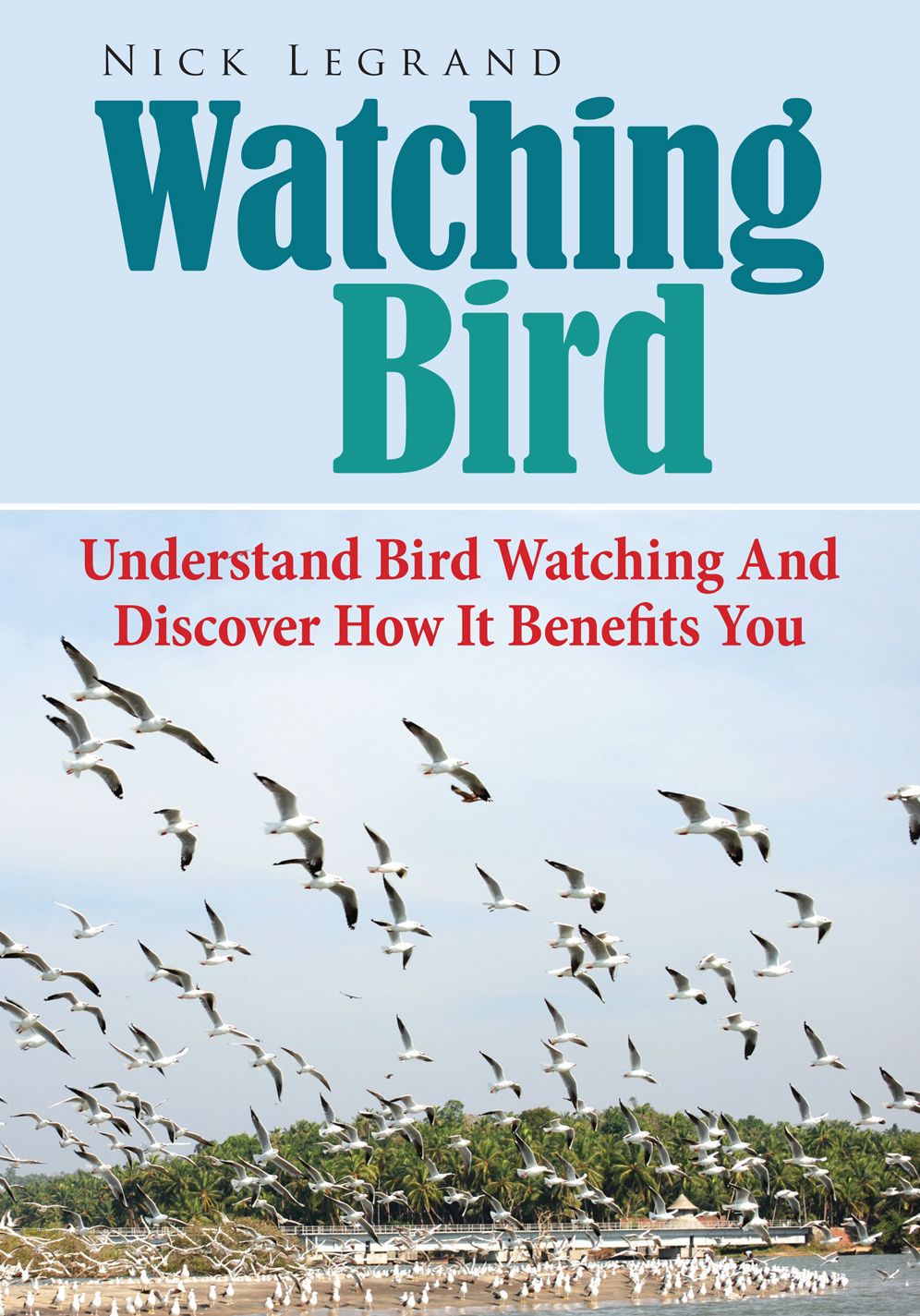 Watching Bird