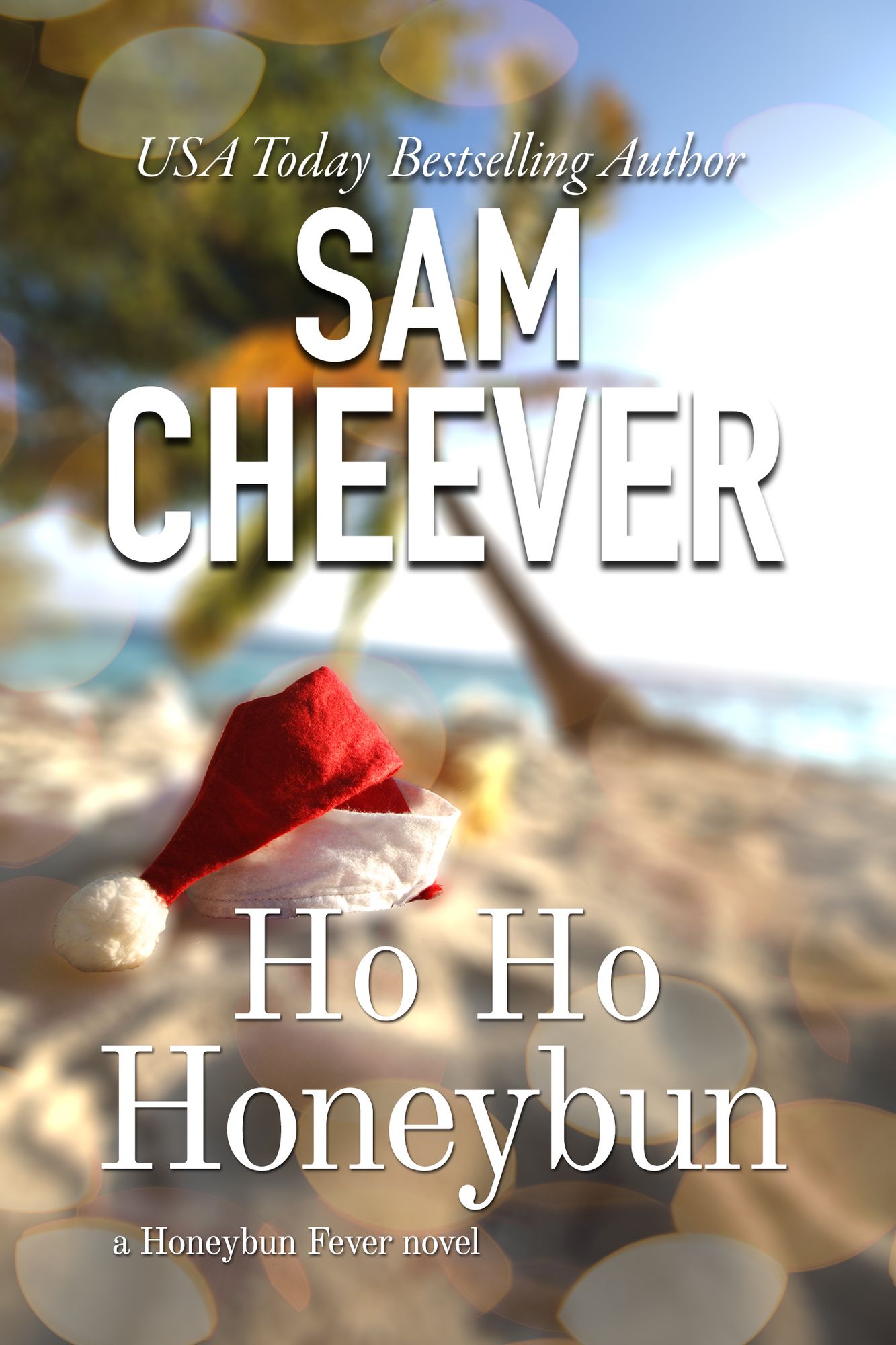 HoHo Honeybun [BWWM Romantic Suspense and Mystery]