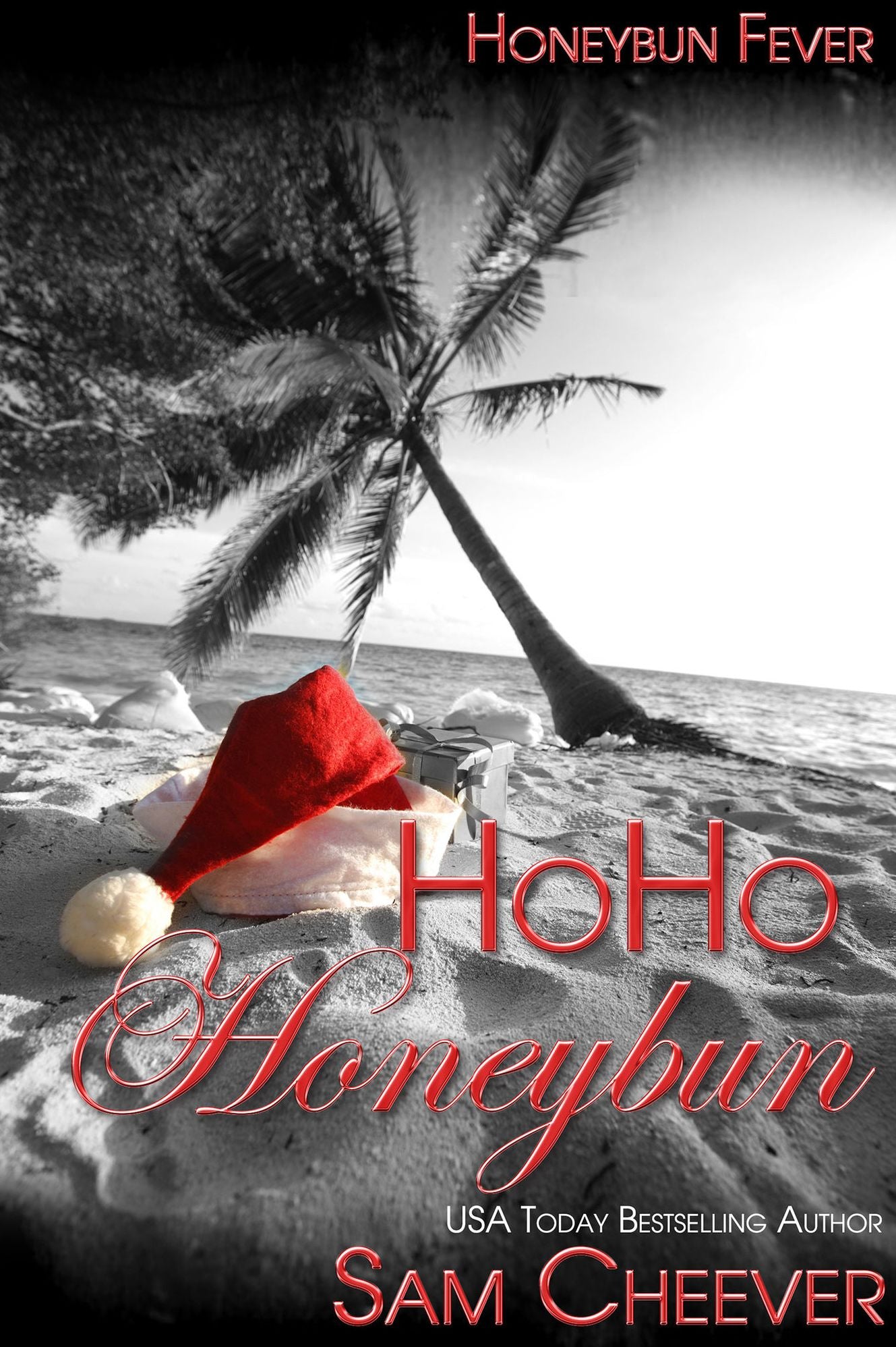 HoHo Honeybun [BWWM Romantic Suspense and Mystery]