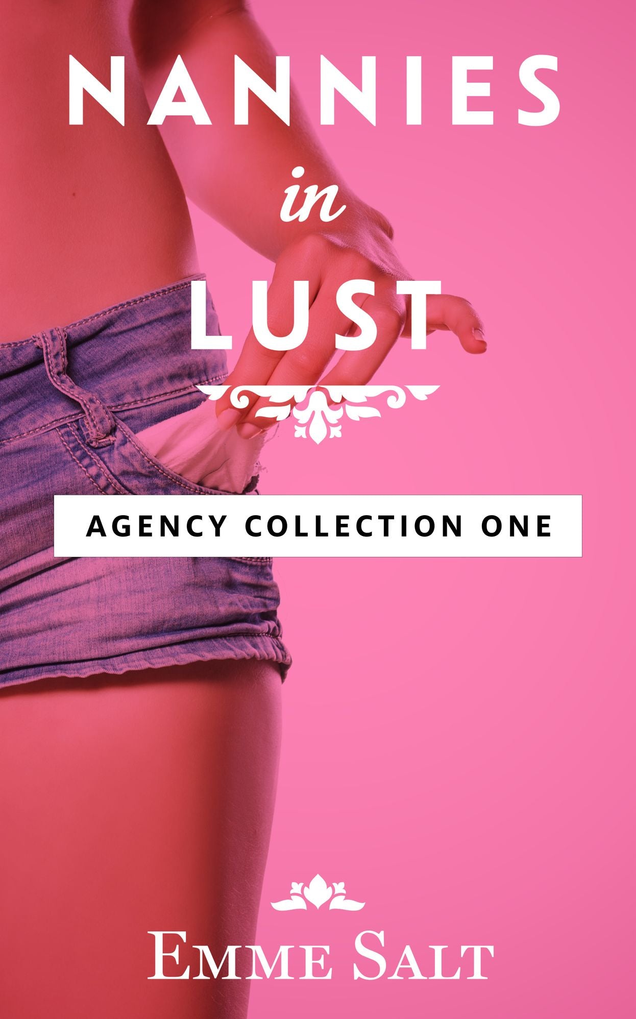 The Agency Collection One: Nannies in Lust