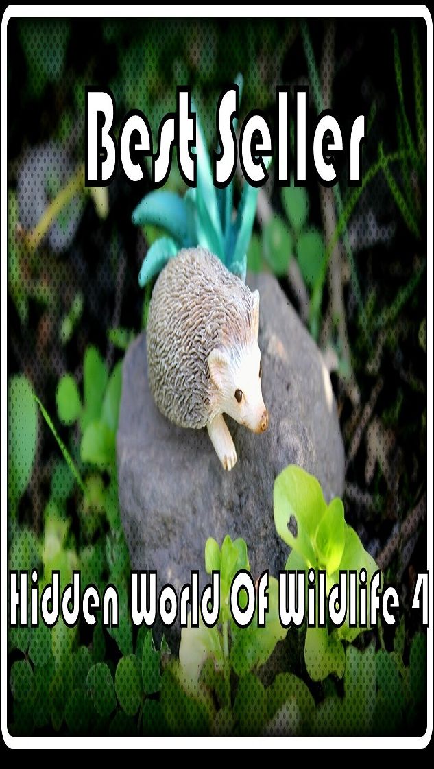 Best Seller Hidden World of Wildlife 4 ( spiders , tarantula , sea, creature, sea world, underwater world, horse, wild, forest, beast, animals, elephant, photo, fish, wildlife, ocean, shark, octopus )