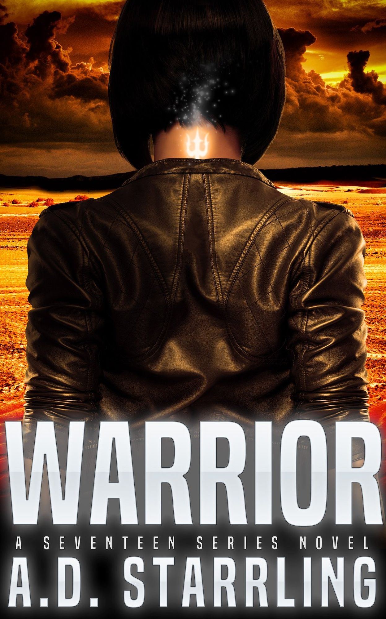 Warrior (A Seventeen Series Novel) Book 2