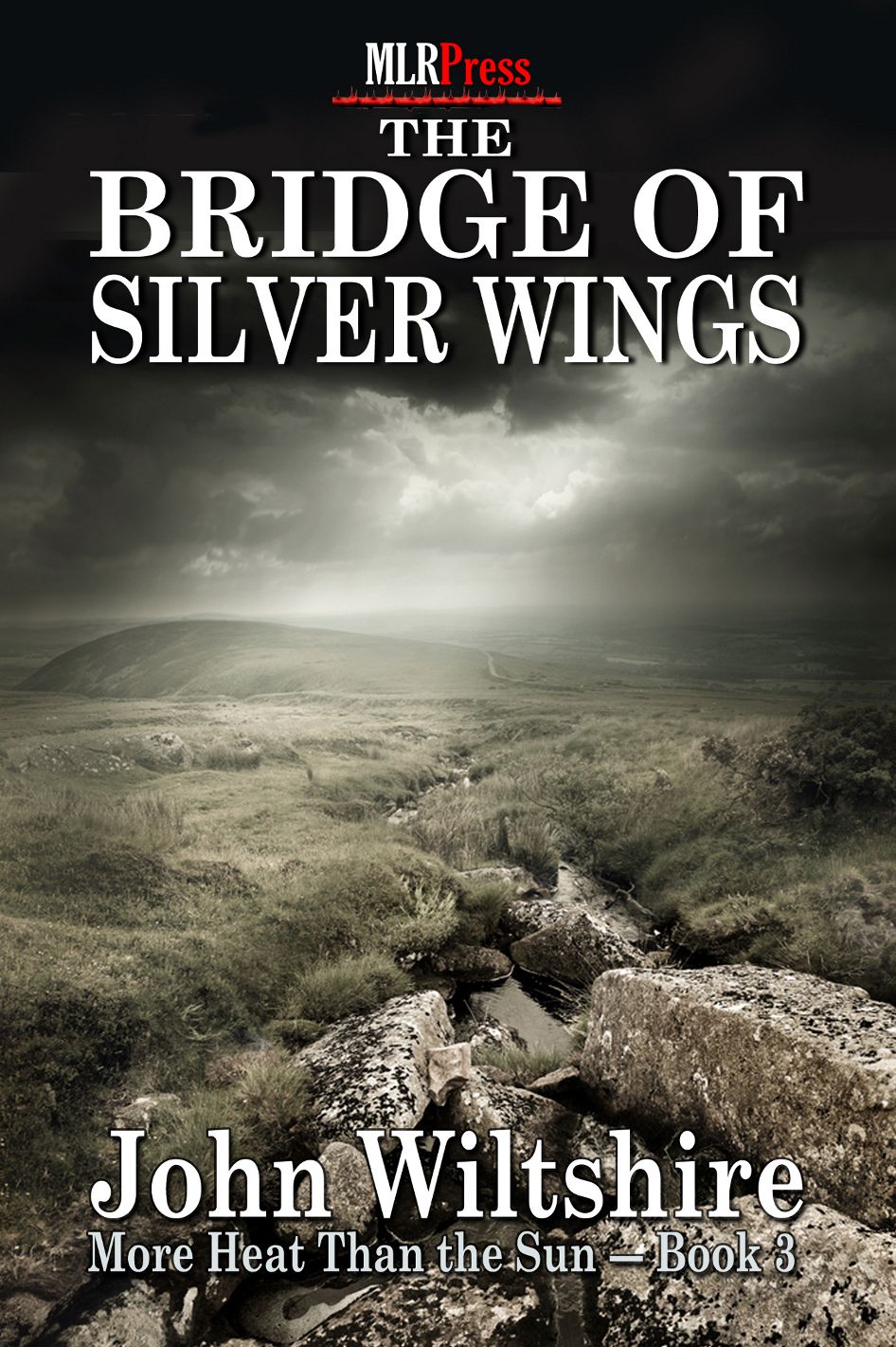 The Bridge of Silver Wings