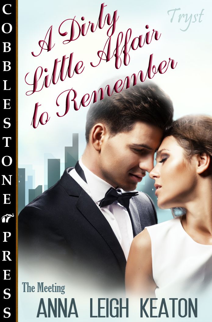 The Meeting [A Dirty Little Affair to Remember]