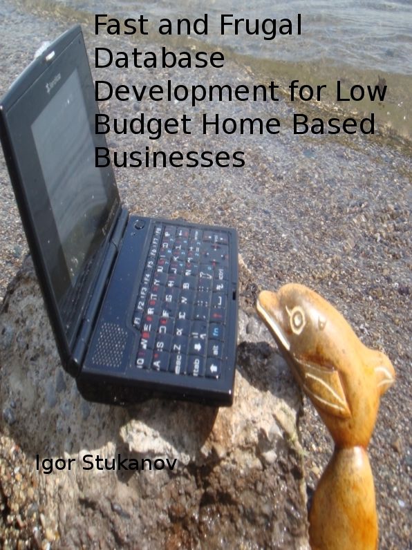 Fast and Frugal Database Development for Low Budget Home Based Businesses