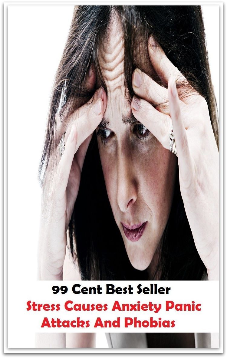 99 Cent Best Seller Stress Causes Anxiety Panic Attacks And Phobias ( stress, punctuate, strive, tense up, deform, try, sample, essay, filter out, test, try out, sift, reach, sieve, puree, examine, extend, seek, try on )