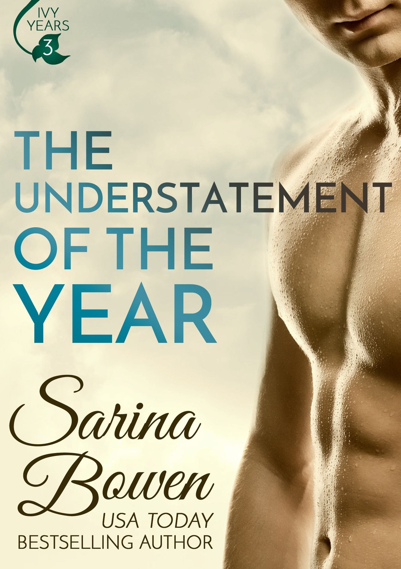 The Understatement of the Year, An MM Hockey Romance
