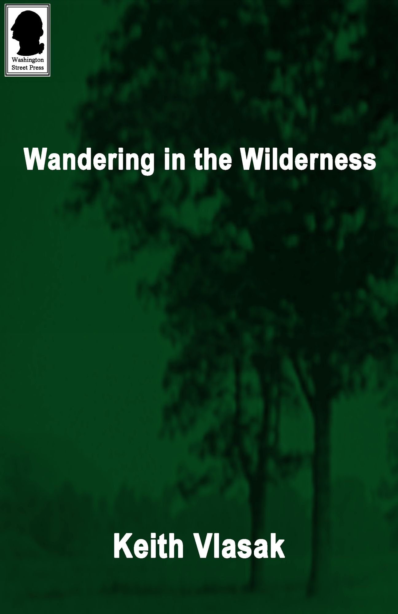 Wandering in the Wilderness (Kinky, Quirky, and Desperation Stories)