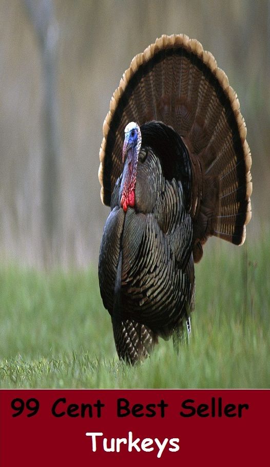 99 Cent Best Seller Turkeys ( superfood, superfoods, kale, collard greens, swiss chard, brussels sprouts, broccoli, salmon, mackerel, sardines, vegetables, beets, sweet potatoes, legumes, peanuts, lentils, beans, raw cocoa )