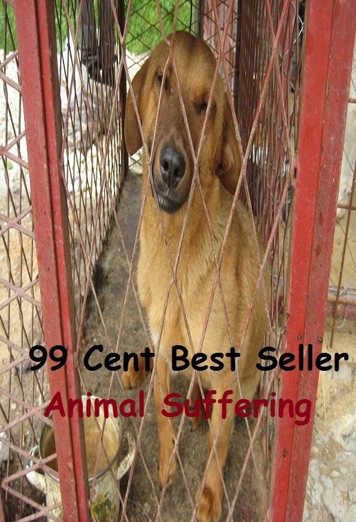 99 Cent Best Seller Animal Suffering ( superfood, superfoods, kale, collard greens, swiss chard, brussels sprouts, broccoli, salmon, mackerel, sardines, vegetables, beets, sweet potatoes, legumes, peanuts, lentils, beans, raw cocoa )