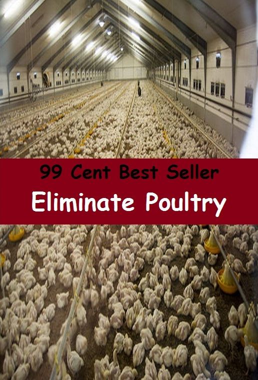 99 Cent Best Seller Eliminate Poultry ( junk Food, little nutritional value, fat, sugar, salt, calories, snack foods, gum, candy, sweet desserts, fried fast food, carbonated beverages )