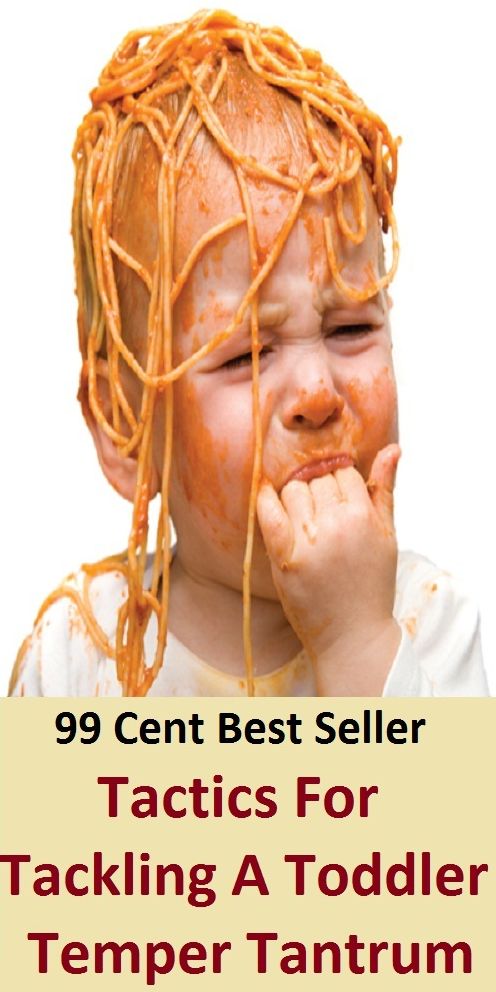 99 Cent Best Seller Tactics For Tackling A Toddler S Temper Tantrum ( essay, paper, thesis, dissertation, composition, article, treatise, theory, idea, hypothesis )