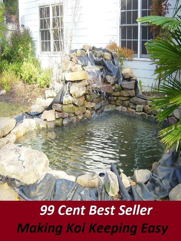 99 Cent Best Seller Making Koi Keeping Easy (cost savings tips, business articles, business documents, Small business tips, media, trade shows, Frugal Marketing, digital marketing, Guerilla Marketing Tactics, Internet Marketing )