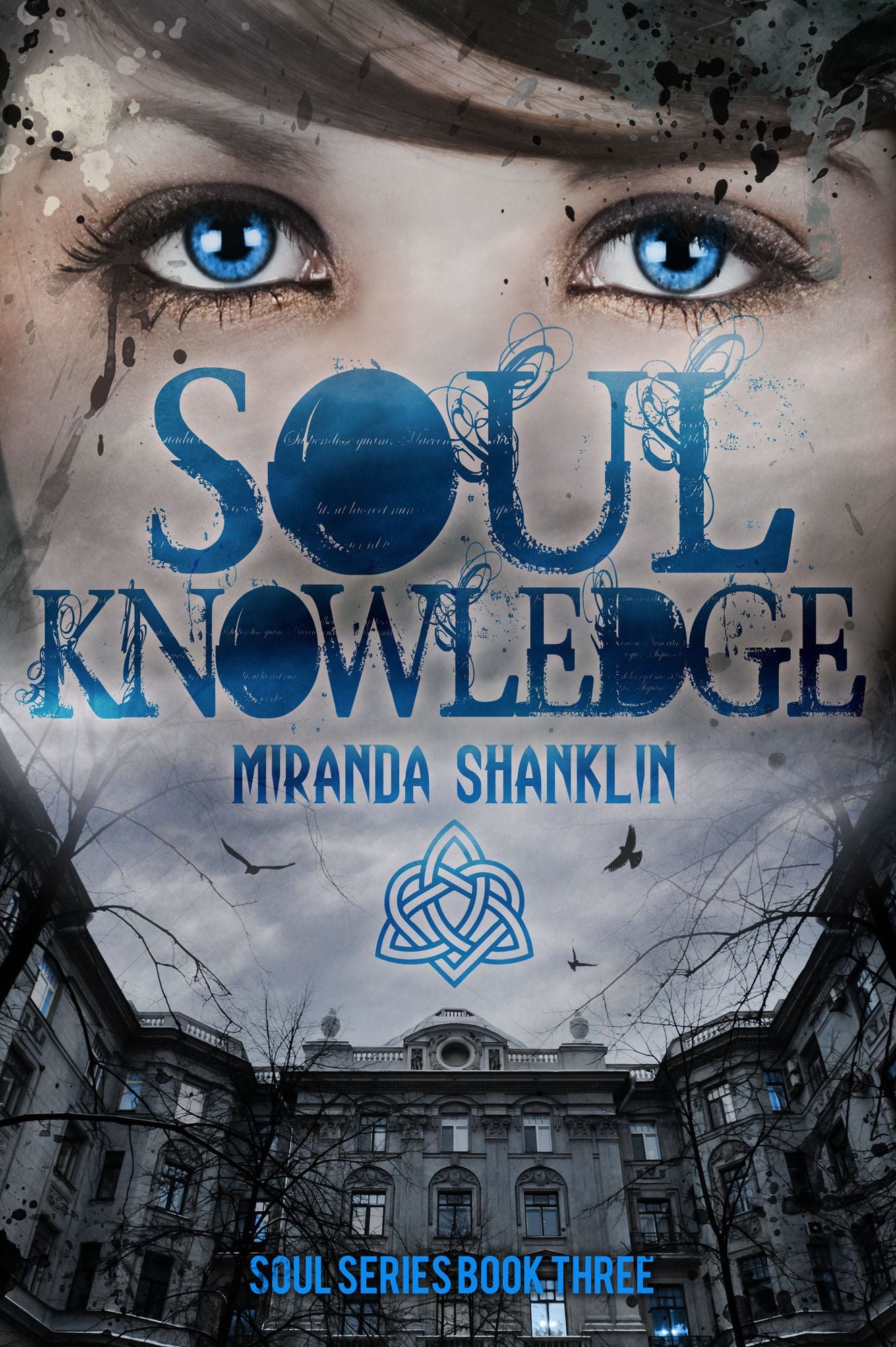 Soul Knowledge (Soul Series Book 3)