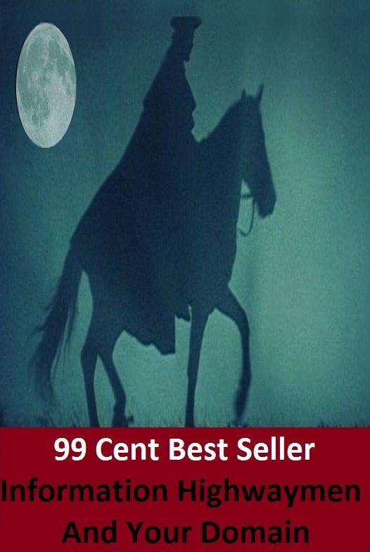 99 cent best seller Information Highwaymen And Your Domain (information entropy,information environment,information explosion,information extraction,information gathering,information integrity,information literacy,informatio)
