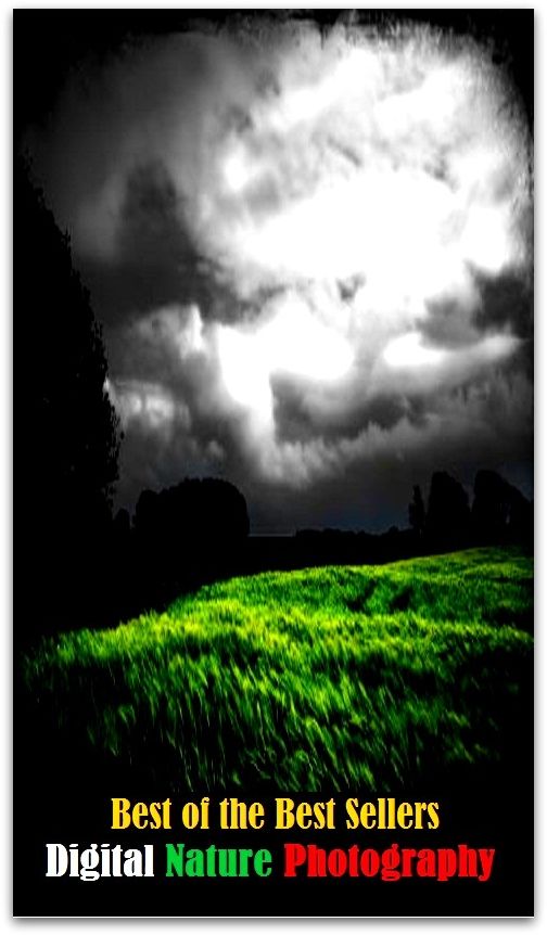99 cent best seller Digital Nature Photography (nature conservancy council,nature documentary,nature girl,nature morte,nature of the beast,nature preserve,nature reserve,nature strip,nature study,nature worship)