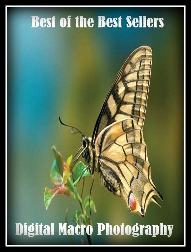 99 cent best seller Digital Macro Photography (macritude,macro,macro instruction,macro lens,macro level orientation,macro virus,macro-,macro-chemistry,macro-fiction,macro-management)