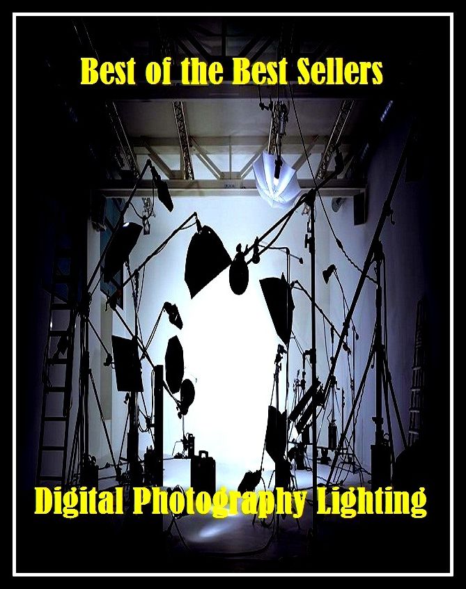 99 cent best seller Digital Photography Lighting (illumination,ignition,firing,igniter,lighting,lightness,sparkle,light source,kindling,inflammation,brightness level,spark,brightness,luminosity,lighter,visible radiation,luminousness,lumina)