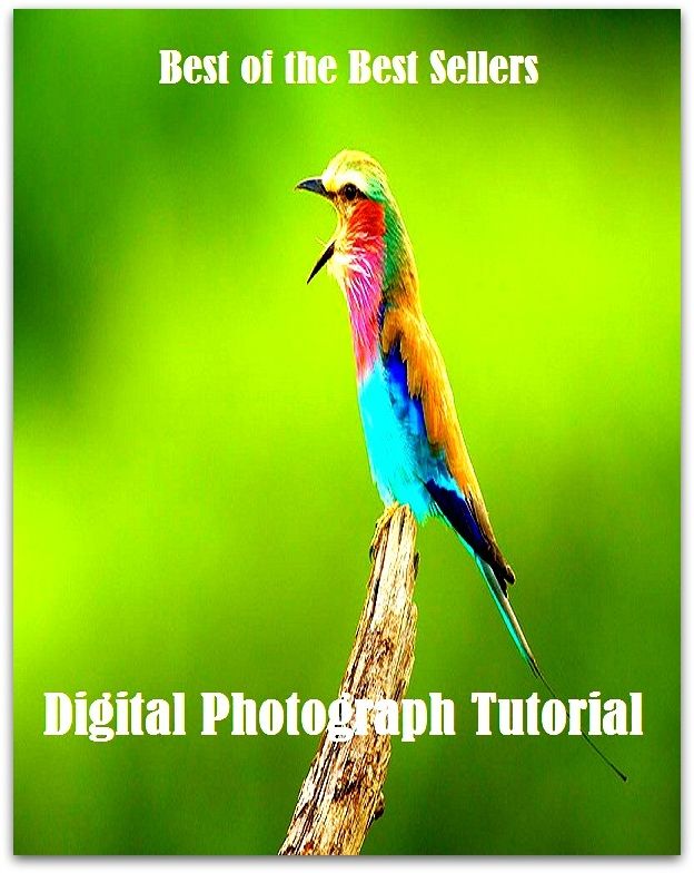 99 cent best seller Digital Photograph Tutorial (photogrammetric,photogrammetric control,photogrammetry,photograph,photograph album,photographable,photographed,photographer,photographer's model,photographeress)