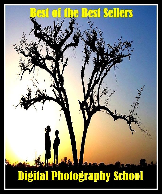 99 cent best seller Digital Photography School (photographing,photographist,photographometer,photographs,photography,photography, dental,photogravure,photoguide,photohadronic,photoheated)