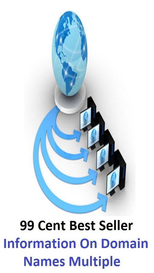 99 cent best seller Information On Domain Names Multiple (domain name, domain name server, domain name service, domain name system, domain name system security extensions, domain of discourse, domain surgical, domain theory, domain-specific )